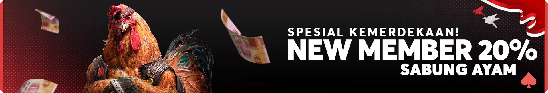 ahaspin.com